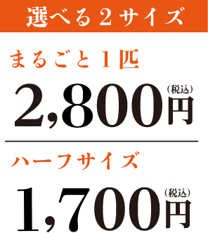 選べるサイズ